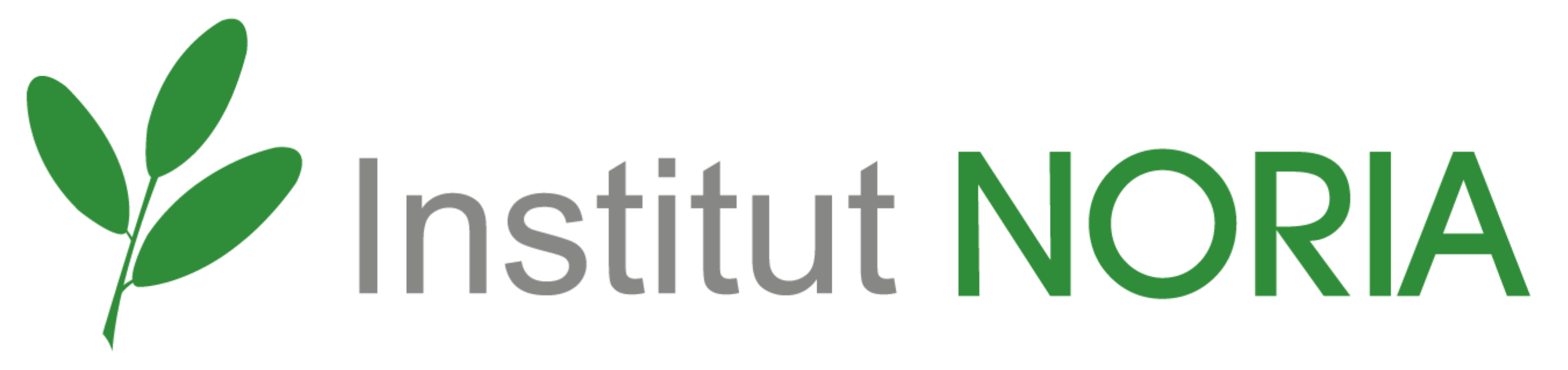 Logo Institut Noria